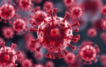 Глюкокортикостероиды и подавление иммунитета: почему на фоне лечения чаще возникают инфекции
