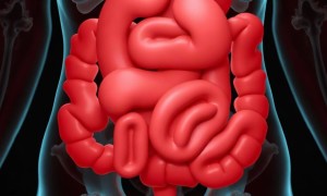 Цистит при неспецифическом язвенном колите: почему это случается и что с этим делать