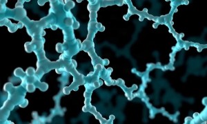Коллаген и соединительная ткань: может ли это влиять на состояние слизистой мочевого пузыря