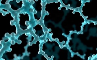 Коллаген и соединительная ткань: может ли это влиять на состояние слизистой мочевого пузыря