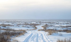 Цистит на Крайнем Севере: как холод и закрытая одежда влияют на здоровье