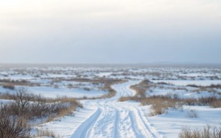 Цистит на Крайнем Севере: как холод и закрытая одежда влияют на здоровье