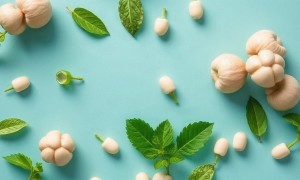 Пробиотики для профилактики цистита: что говорят исследования и где заканчиваются ожидания