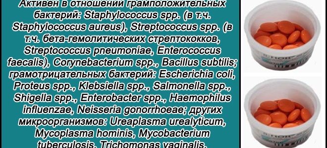 Черный древесный варан: мир, полный загадок и удивительных способностей