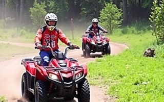 Квадроциклы: как выбрать, подготовить и ездить с удовольствием и безопасно