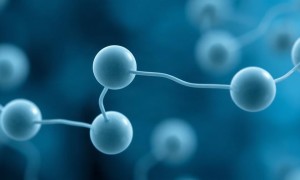 Хиразива: обзор новых препаратов для мочевых инфекций