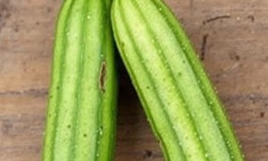 Цистит от огурцов: есть ли связь