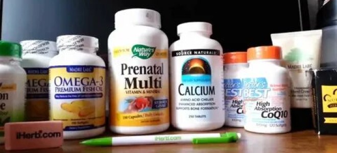 Североамериканский опоссум: удивительный зверь с уникальными способностями