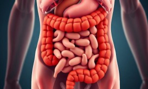 Цистит при болезни Крона: как кишечное воспаление затрагивает мочевой пузырь