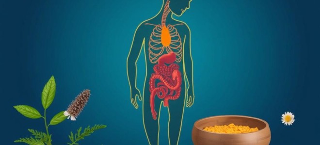 Как растительные препараты влияют на потенцию: разбираемся вместе