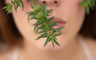Цистит и масло чайного дерева: что известно о связи и где проходит граница между пользой и риском