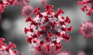 Уро-вакцины: могут ли они снизить риск повторных инфекций мочевых путей