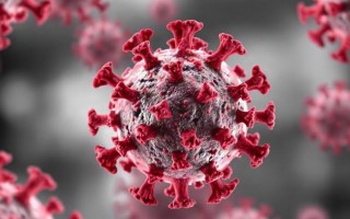 Уро-вакцины: могут ли они снизить риск повторных инфекций мочевых путей
