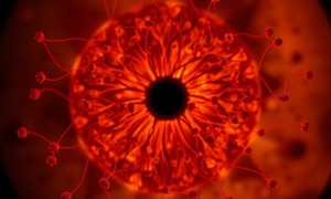 Вернуть свет: трансплантация собственных стволовых клеток при дистрофии сетчатки