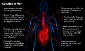 Цистит у мужчин: почему он бывает, как проявляется и что важно для точной диагностики