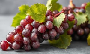 Цистит и виноград: когда сладкий фрукт становится проблемой