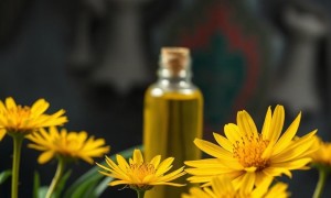 Цистит и масло тмина: что известно, а что лучше не принимать на веру