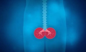 Цистит от йоги: когда растяжка и нагрузка на таз могут стать проблемой