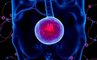 Цистит при дефиците селена: что известно и где проходит граница между фактами и домыслами