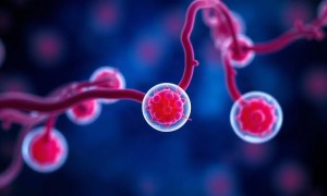 Цистит при отравлении кислотами: что важно знать и почему это не мелочь