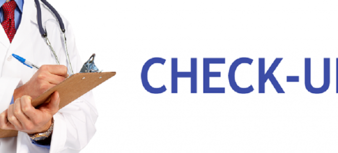 Египетский таракан: нежелательный сосед или удивительный питомец?