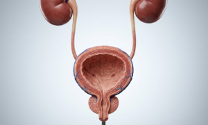 Роль витаминов в поддержке мочевыводящей системы при цистите