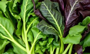 Зелень и нитраты: как минимизировать риски при выборе продуктов