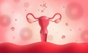Цистит и овуляция: почему иммунитет проседает