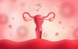 Цистит и овуляция: почему иммунитет проседает