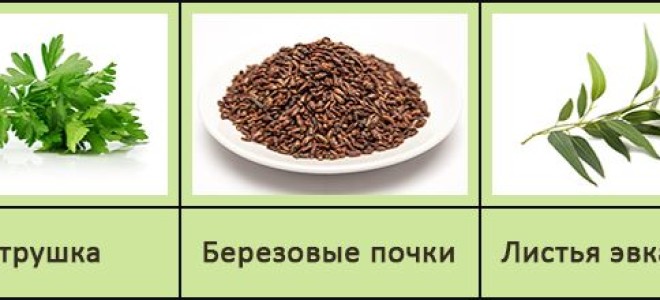 Что такое гепатомегалия печени у взрослых женщин?