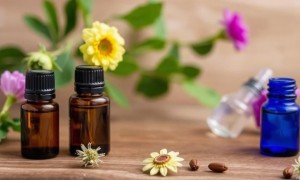 Ингаляции с эфирными маслами и мочеполовая система: мифы и реальность