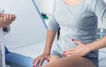 Узнайте все о белогубой квакше: маленьком чуде природы