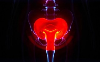 Грибковая инфекция и цистит: чем опасен кандидозный цистит