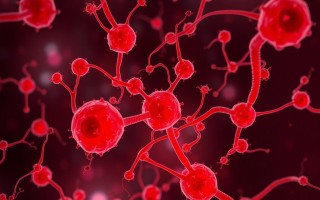 Антибиотикорезистентность при цистите: что это значит для вашего здоровья?