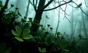 Цистит при отравлении пестицидами: что важно знать о связи между токсическим воздействием и воспалением мочевого пузыря