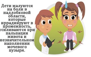 Трехцветный варан: удивительное чудо природы