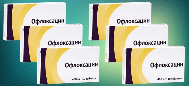 Скальные тайны Бутуса: Удивительное существо Butius Eupeus