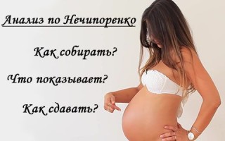 Анализ мочи по Нечипоренко во время беременности