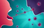 Оральный секс и перенос бактерий: что важно знать о рисках для мочеполовой системы