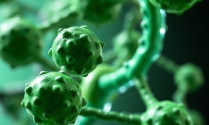 Марганец и ферментные системы: почему этот микроэлемент важен для иммунитета