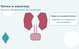 Почки и алкоголь: что происходит во время запоя