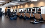 Фитнес спортзал: как спортивный образ жизни меняет повседневность и карьеру