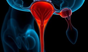 Цистит при сальпингоофорите: как восходящая инфекция связывает два воспаления