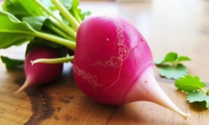 Цистит и редис: может ли привычный овощ стать проблемой для мочевого пузыря