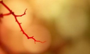Цистит во время овуляции: что происходит с микрофлорой и почему это важно