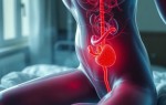 Переутомление и снижение местного иммунитета: как усталость превращает обычную уринацию в риск цистита
