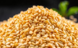 Кунжут и кальций: как маленькие семена влияют на минеральный обмен