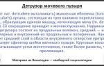 Оранжева Паутина: Погружение в Мир Phormictopus Auratus