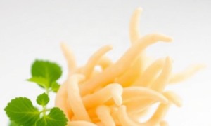 Цистит и пробиотики: как lactobacillus помогают микрофлоре