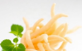 Цистит и пробиотики: как lactobacillus помогают микрофлоре
